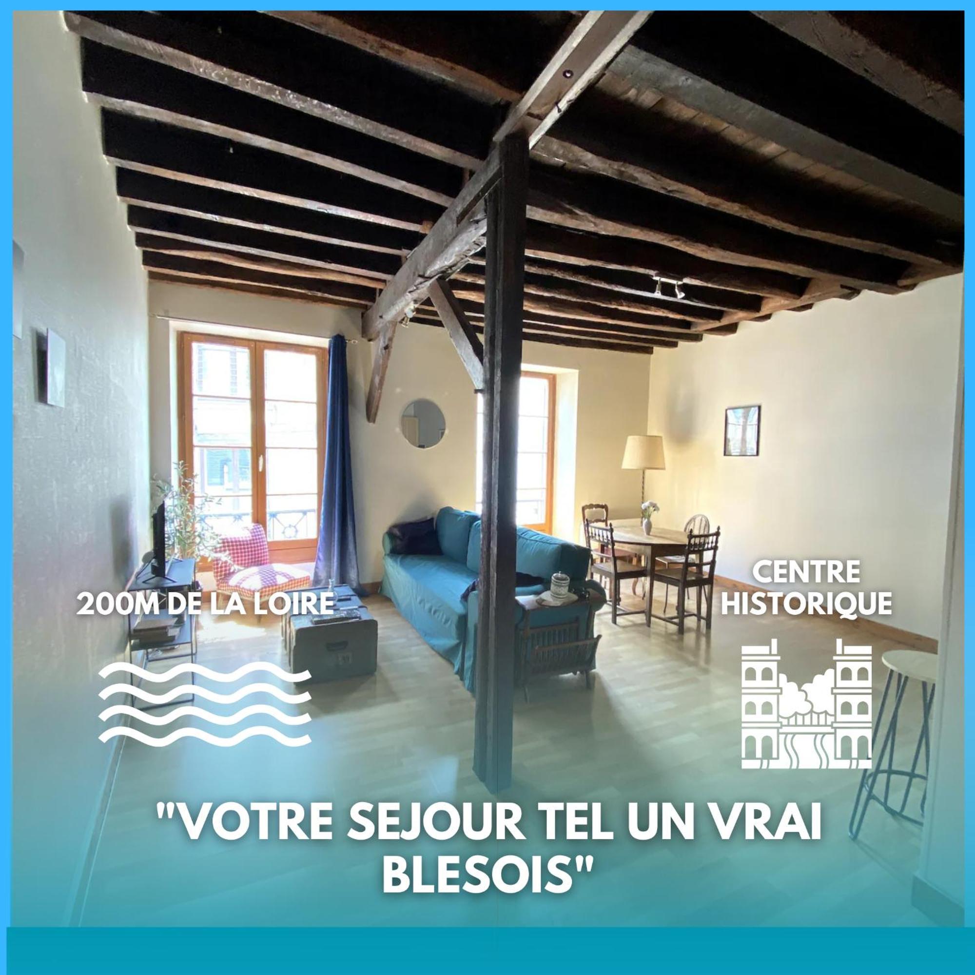 Apartament L'Escapade Blesoise - Hyper Centre Blois Zewnętrze zdjęcie