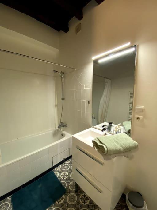 Apartament L'Escapade Blesoise - Hyper Centre Blois Zewnętrze zdjęcie