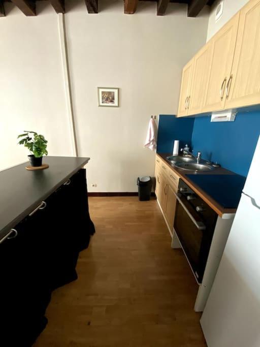 Apartament L'Escapade Blesoise - Hyper Centre Blois Zewnętrze zdjęcie