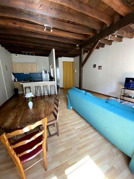 Apartament L'Escapade Blesoise - Hyper Centre Blois Zewnętrze zdjęcie